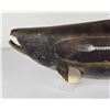 Image 8 : Sockeye Salmon Taxidermy Fish Mount