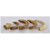 Image 3 : Lot of Boar Teeth From the South Pacific WW2