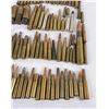 Image 2 : Large Bullet Collection