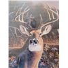 Image 2 : Large print Big Buck/Doe 32" 25" signed W/ Goebel