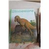 Image 4 : Book Lot - Animals, National Geographic, Science