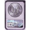 Image 2 : 2021-(W) Type 1 $1 American Silver Eagle Coin NGC MS70 Early Releases