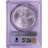 Image 2 : 2021 Type 2 $1 American Silver Eagle Coin PCGS MS69 First Day of Issue