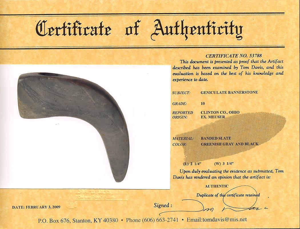 Geniculate Bannerstone, Davis COA, Pictured, Meuser