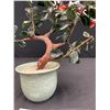 Image 3 : Decorative Artificial Flowering Tree Mounted in Pot
