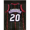 Image 1 : DAMON STOUDAMIRE SIGNED RAPTORS JERSEY (JSA COA)