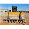 Image 5 : 2019 CAT D6K2 LGP Dozer / Crawler Tractor