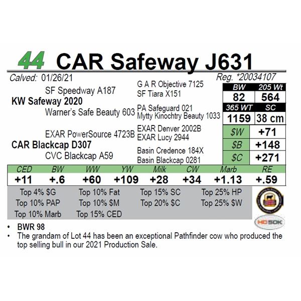 CAR Safeway J631