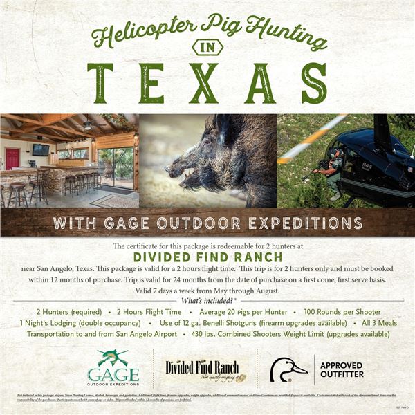 Texas Hog Hunt for 2