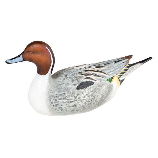 Pintail Decoy