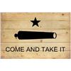 Image 1 : Come and Take It Wood Flag