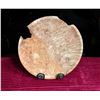 Image 1 : Wood Burl Platter