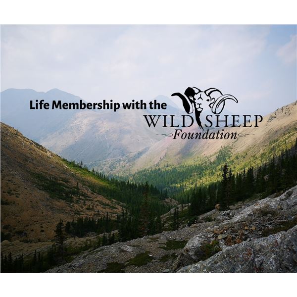 Wild Sheep Foundaiton Life Membership