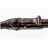 Image 5 : Antique Tower P-1856 Single Shot Infantry Rifle