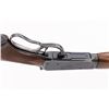 Image 2 : Deluxe Winchester Model 64 Lever Action Rifle