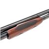 Image 7 : Winchester Model 12 Field Grade Slide-Action Shotgun