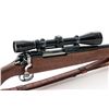 Image 3 : Modified U.S. Model 1917 Bolt Action Rifle, with Leopold Mk II Scope