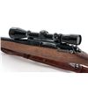 Image 4 : Modified U.S. Model 1917 Bolt Action Rifle, with Leopold Mk II Scope