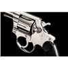 Image 4 : Colt Pocket Positive Double Action Revolver
