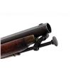 Image 8 : Antique British P-1844 Percussion Artillery Carbine