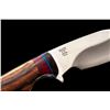 Image 3 : Limited Edition 1 of 25 Buck Knives Model 919 Skinner