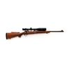 Image 1 : Winchester Model 70 Bolt Action Rifle, with Bushnell Scope