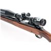 Image 4 : Winchester Model 70 Bolt Action Rifle, with Bushnell Scope