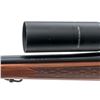 Image 5 : Winchester Model 70 Bolt Action Rifle, with Bushnell Scope