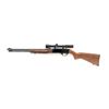 Image 2 : Winchester Model 290 Semi-Automatic Rifle