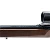 Image 5 : Winchester Model 290 Semi-Automatic Rifle