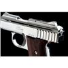 Image 4 : Raven Model P-25 Semi-Automatic Pistol