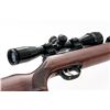 Image 7 : Beeman Model R7 Air Rifle