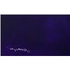 Image 3 : Wyland- Original Painting on Canvas "Sea Turtle"