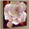 Image 2 : "Gardenia" Limited Edition Giclee on Canvas by Simon Bull, Numbered and Signed. This piece comes Gal