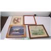 Image 1 : mixed pictures + frames