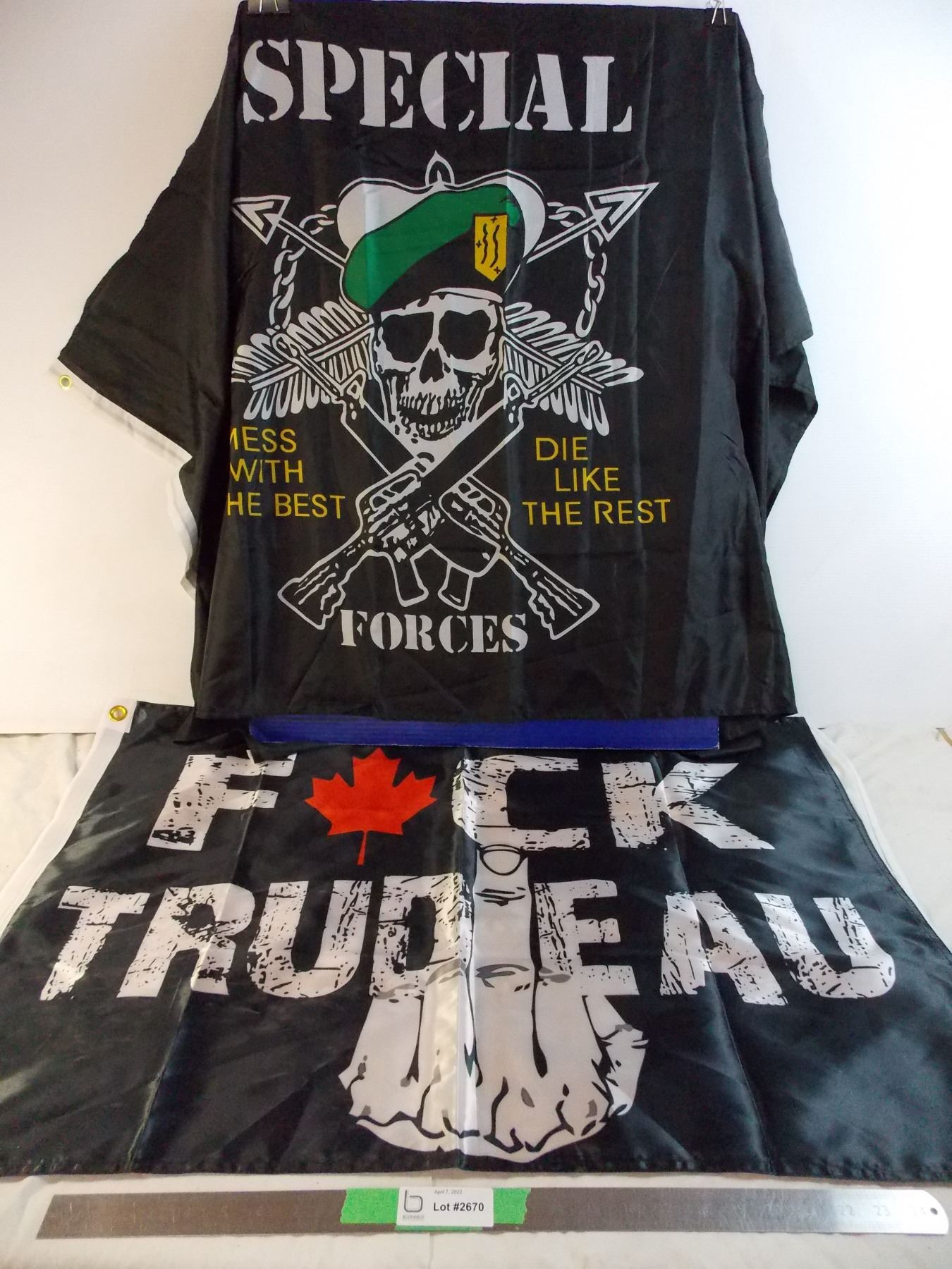 (2) Freedom Rally Flags