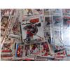 Image 5 : Sleeves of hockey cards + NHL 2K9