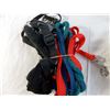 Image 3 : (4) Leashes, pet grooming kit