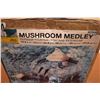 Image 2 : *Mushroom Medley outdoor fountain - sealed
