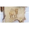 Image 5 : Tanned Elk (or deer) artwork on hide - signed Kathy Loyelond? - wall hanging 20x20