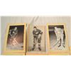 Image 2 : (7) Beehive Hockey picture cards - Gordie Howe, Charlie Burns, Elmer Vasko, Bob Nevil