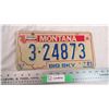 Image 1 : 1981 Montana Big Sky license plate