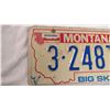 Image 2 : 1981 Montana Big Sky license plate