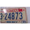 Image 3 : 1981 Montana Big Sky license plate