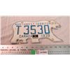 Image 1 : Polar Bear license plate - 1979