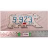 Image 1 : Polar Bear license plate - 1975