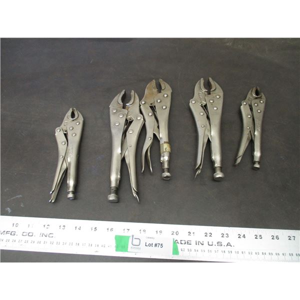 (5) Vise grips