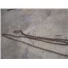 Image 3 : 30ft chain