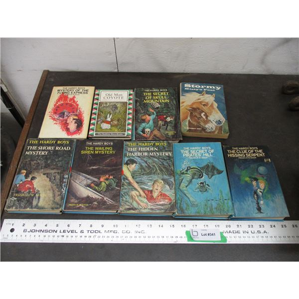 Hardy books + other kids books