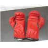 Image 3 : Pair of boxing gloves - 16